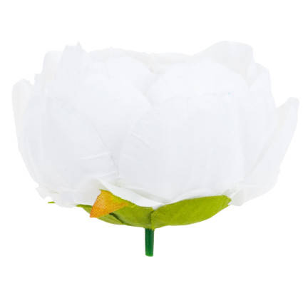 CV31160-1 PFINGSTROSE PRODUKT PFINGSTROSE BLUME KOPF FÜR SCHILF STRÄUSSE