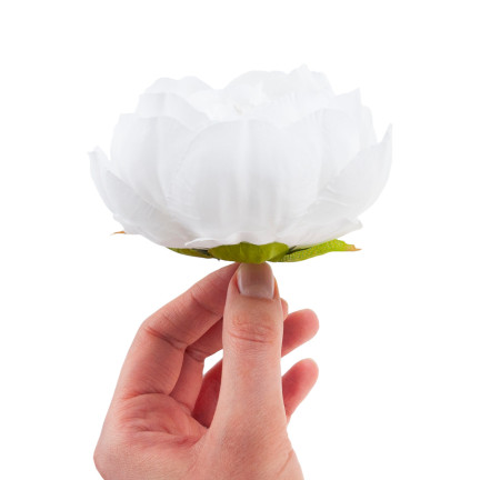 CV31160-1 PFINGSTROSE PRODUKT PFINGSTROSE BLUME KOPF FÜR SCHILF STRÄUSSE