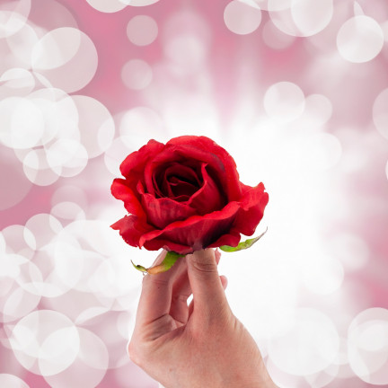 CV31206-22 RŮŽE PRODUKT RŮŽE KVĚTINA HLAVA UMĚLÉ KVĚTINY JAKO ŽIVÉ ČERVENÉ