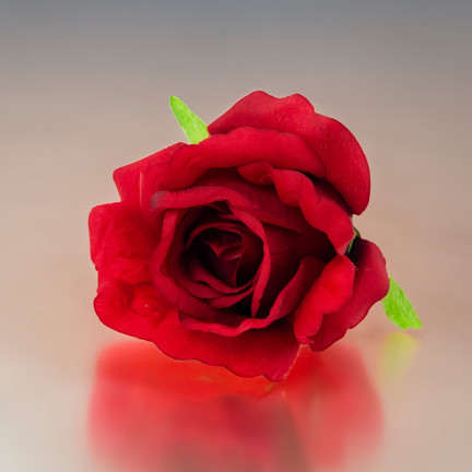 CV31206-22 RŮŽE PRODUKT RŮŽE KVĚTINA HLAVA UMĚLÉ KVĚTINY JAKO ŽIVÉ ČERVENÉ