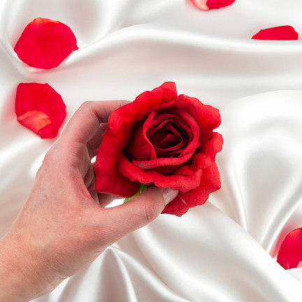 CV31206-22 RŮŽE PRODUKT RŮŽE KVĚTINA HLAVA UMĚLÉ KVĚTINY JAKO ŽIVÉ ČERVENÉ