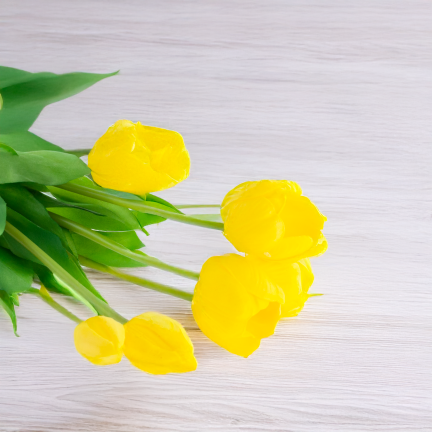 CV31218-4 BUKIET TULIPANÓW GUMA PIANKA x 5 szt ŻÓŁTY PERFOROWANY REALISTYCZNY