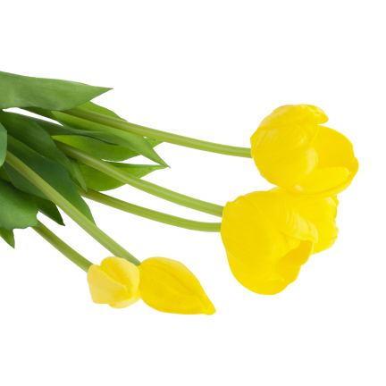 CV31218-4 BUKIET TULIPANÓW GUMA PIANKA x 5 szt ŻÓŁTY PERFOROWANY REALISTYCZNY