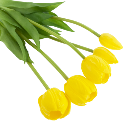 CV31218-4 BUKIET TULIPANÓW GUMA PIANKA x 5 szt ŻÓŁTY PERFOROWANY REALISTYCZNY