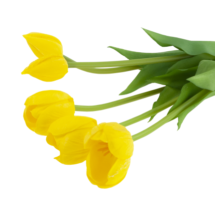 CV31218-4 BUKIET TULIPANÓW GUMA PIANKA x 5 szt ŻÓŁTY PERFOROWANY REALISTYCZNY