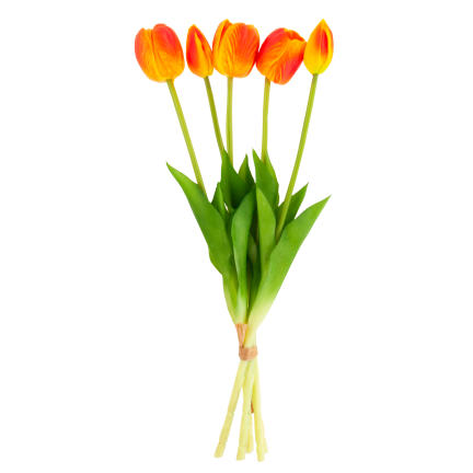 CV31218-5 BUKIET TULIPANÓW GUMA PIANKA x 5 szt REALISTYCZNY PERFOROWANY pomarańczowy