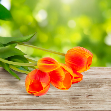 CV31218-5 BUKIET TULIPANÓW GUMA PIANKA x 5 szt REALISTYCZNY PERFOROWANY pomarańczowy