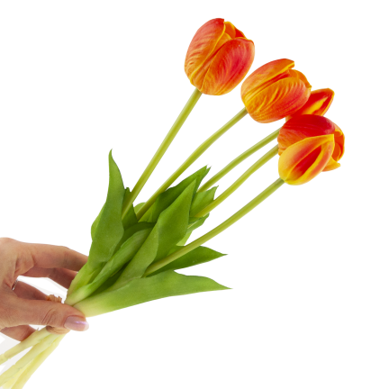 CV31218-5 BUKIET TULIPANÓW GUMA PIANKA x 5 szt REALISTYCZNY PERFOROWANY pomarańczowy