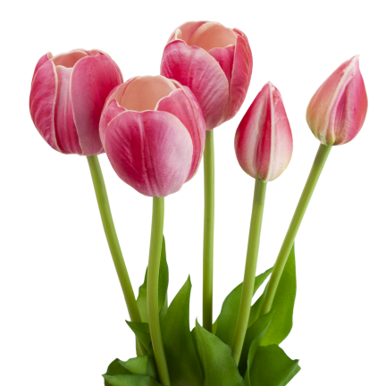 CV31218-7 BUKIET TULIPANÓW GUMA PIANKA x 5 szt REALISTYCZNY PERFOROWANY różowy