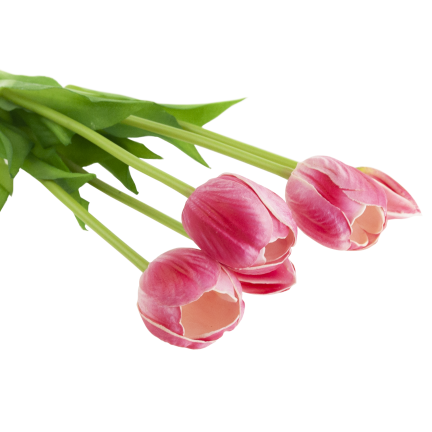 CV31218-7 BUKIET TULIPANÓW GUMA PIANKA x 5 szt REALISTYCZNY PERFOROWANY różowy