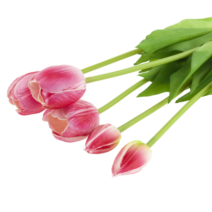 CV31218-7 BUKIET TULIPANÓW GUMA PIANKA x 5 szt REALISTYCZNY PERFOROWANY różowy