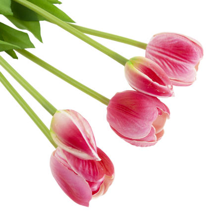 CV31218-7 BUKIET TULIPANÓW GUMA PIANKA x 5 szt REALISTYCZNY PERFOROWANY różowy