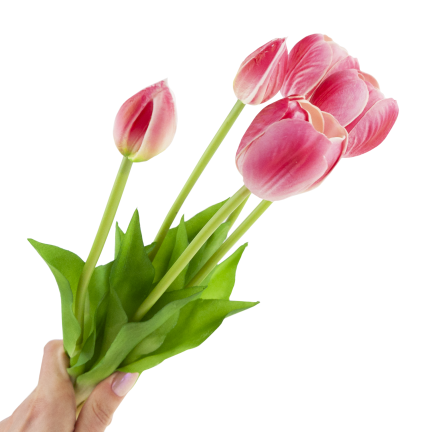 CV31218-7 BUKIET TULIPANÓW GUMA PIANKA x 5 szt REALISTYCZNY PERFOROWANY różowy