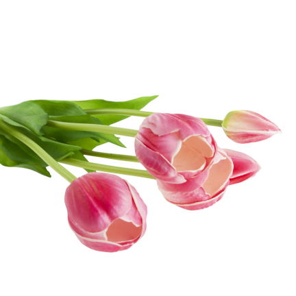 CV31218-7 BUKIET TULIPANÓW GUMA PIANKA x 5 szt REALISTYCZNY PERFOROWANY różowy