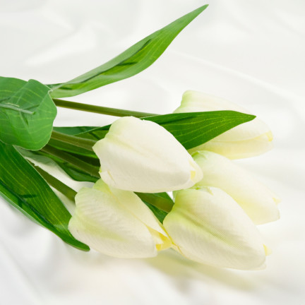 CV31225-1 KYTICE TULIPÁNŮ KRÁSNÁ JAKO ŽIVÉ TULIPÁNY BÍLÉ KVĚTY ECRU X5