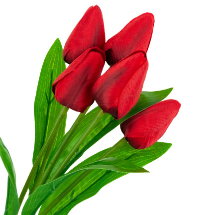CV31225-5 TULPENSTRAUSS SCHÖN WIE LEBEN TULPEN ROTE BLUMEN X5