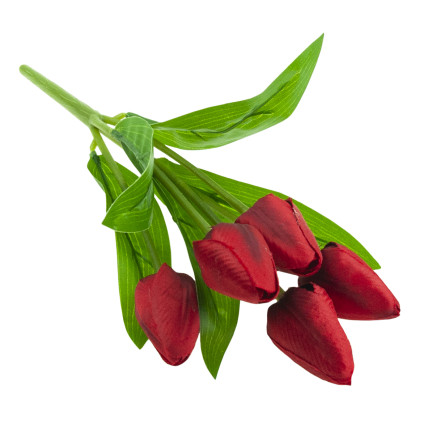 CV31225-5 TULPENSTRAUSS SCHÖN WIE LEBEN TULPEN ROTE BLUMEN X5