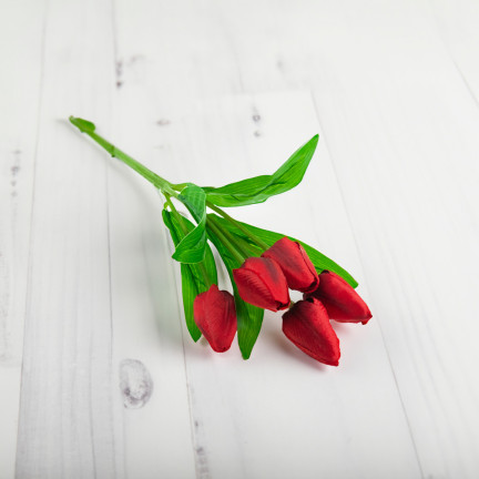 CV31225-5 TULPENSTRAUSS SCHÖN WIE LEBEN TULPEN ROTE BLUMEN X5