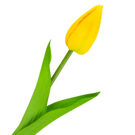 CV31234-2 EINZELNE GELBE TULPE ALS LEBENDE BLUME KUNSTBLUME FÜR BLUMENSTRAUSS SCHILF
