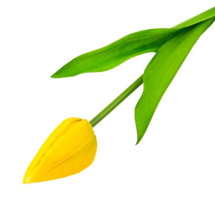 CV31234-2 EINZELNE GELBE TULPE ALS LEBENDE BLUME KUNSTBLUME FÜR BLUMENSTRAUSS SCHILF