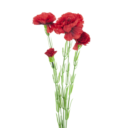 Carnation sprig, carnation bouquet, artificial flowers, realistic, red, 60 cm