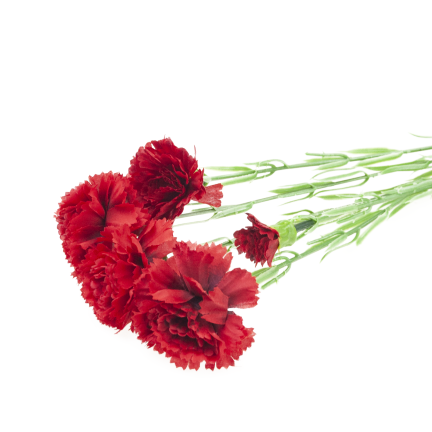 Carnation sprig, carnation bouquet, artificial flowers, realistic, red, 60 cm