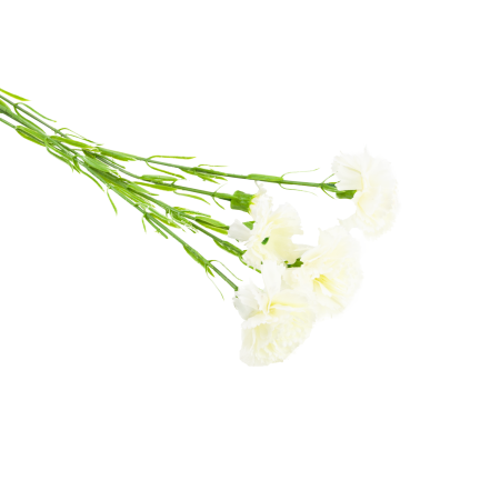 Carnation sprig, carnation bouquet, artificial flowers, realistic, white, 60 cm