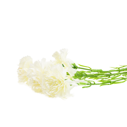 Carnation sprig, carnation bouquet, artificial flowers, realistic, white, 60 cm