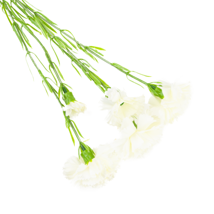 Carnation sprig, carnation bouquet, artificial flowers, realistic, white, 60 cm