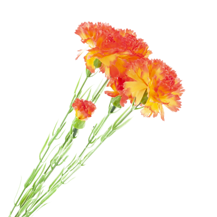Carnation sprig, carnation bouquet, artificial flowers, realistic, orange, 60 cm