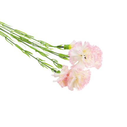 Carnation sprig, carnation bouquet, artificial flowers, realistic, pink, 60 cm