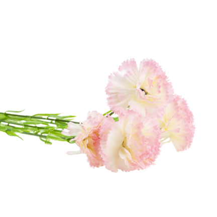 Carnation sprig, carnation bouquet, artificial flowers, realistic, pink, 60 cm