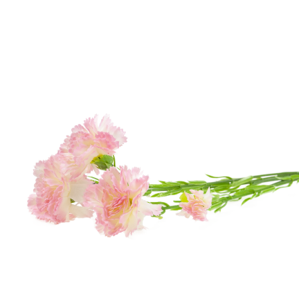 Carnation sprig, carnation bouquet, artificial flowers, realistic, pink, 60 cm