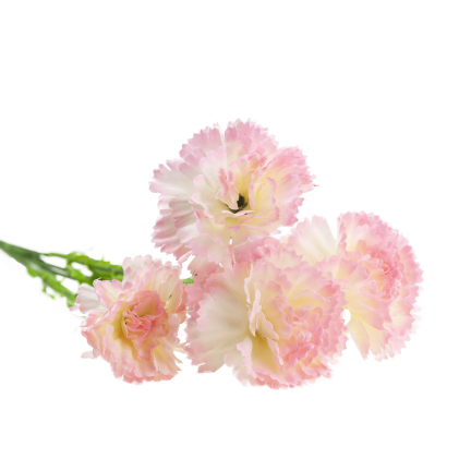 Carnation sprig, carnation bouquet, artificial flowers, realistic, pink, 60 cm