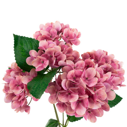 CV31438-12 STRAUSS KÜNSTLICHER HORTENSIENBLÜTEN HORTENSIE