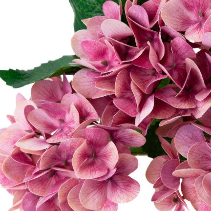 CV31438-12 STRAUSS KÜNSTLICHER HORTENSIENBLÜTEN HORTENSIE