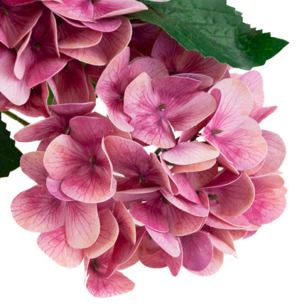 CV31438-12 STRAUSS KÜNSTLICHER HORTENSIENBLÜTEN HORTENSIE