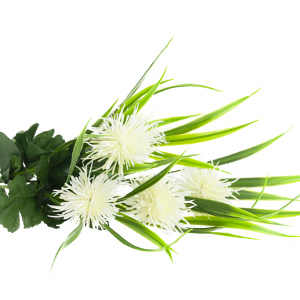 CV31741-1 decorative sprig  grass, leaves, thistle, flower heads, white
