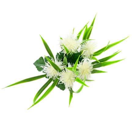 CV31741-1 decorative sprig  grass, leaves, thistle, flower heads, white