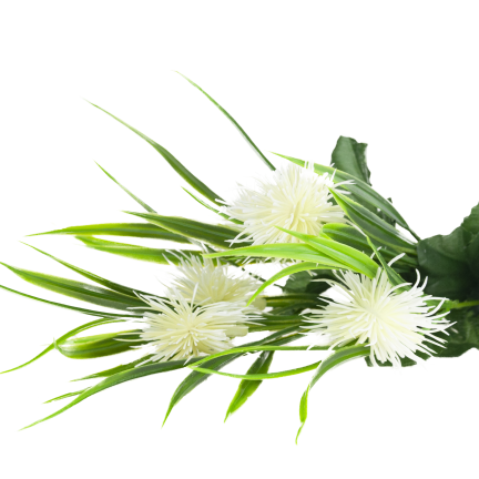 CV31741-1 decorative sprig  grass, leaves, thistle, flower heads, white