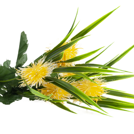 CV31741-2 decorative sprig of grass, leaves, thistle, yellow flower heads