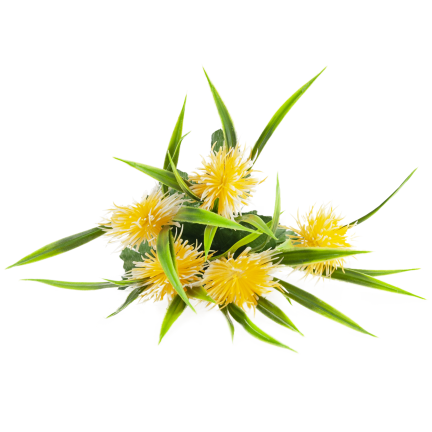 CV31741-2 decorative sprig of grass, leaves, thistle, yellow flower heads