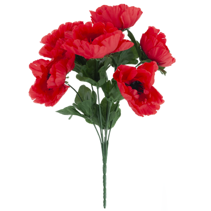 CV32327 MAK BUKIET X7