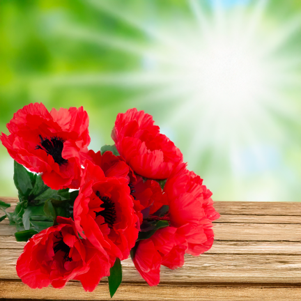 CV32327 MAK BUKIET X7