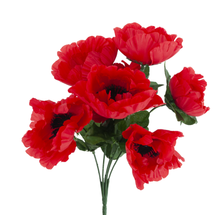 CV32327 MAK BUKIET X7