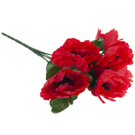 CV32327 MAK BUKIET X7