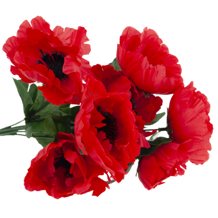 CV32327 MAK BUKIET X7