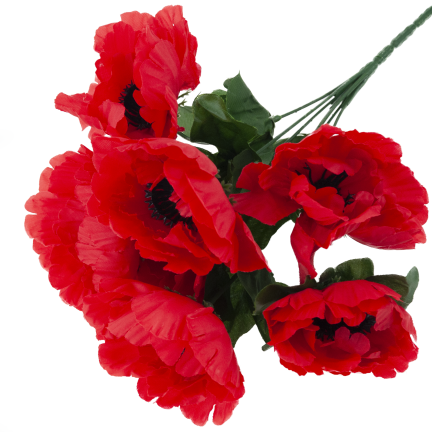 CV32327 MAK BUKIET X7