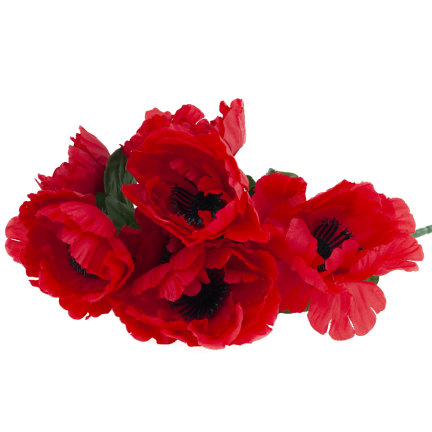 CV32327 MAK BUKIET X7