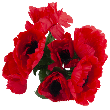 CV32327 MAK BUKIET X7